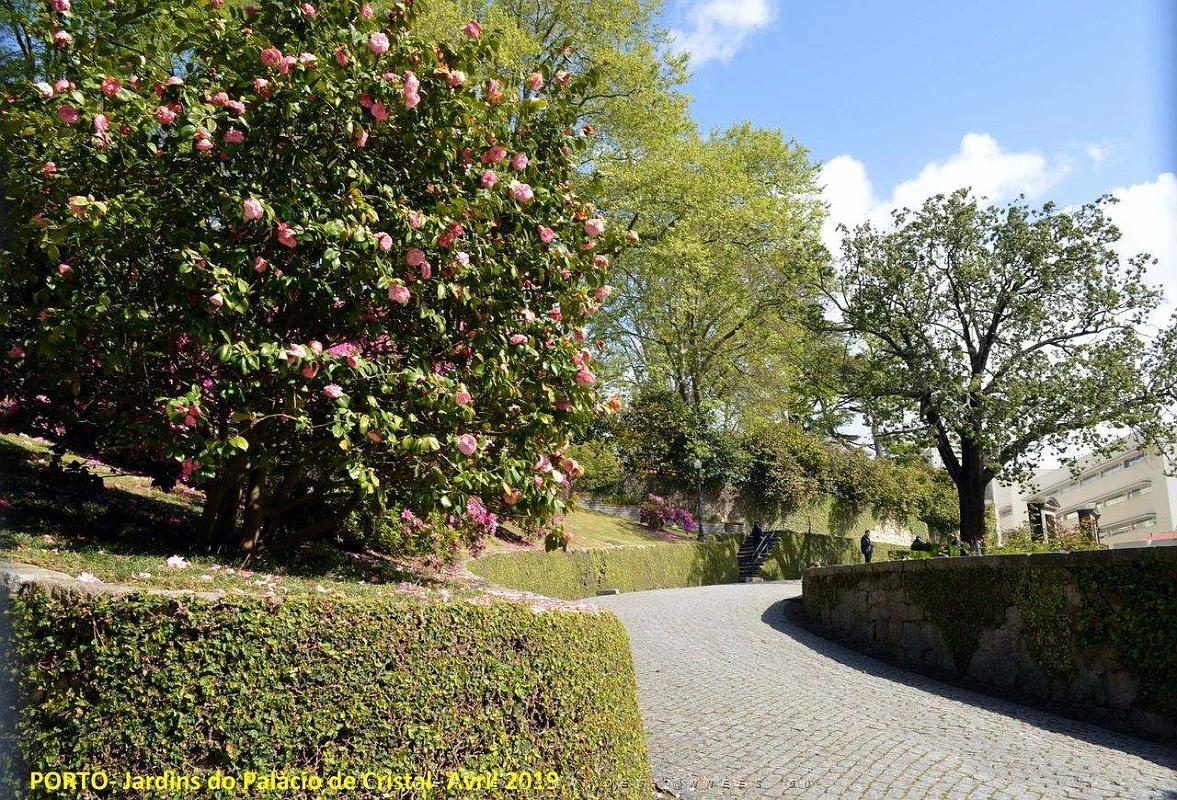 1057- Porto Jardins Palais Cristal.jpg